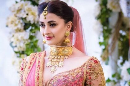 Heavy Bridal Blouse idea