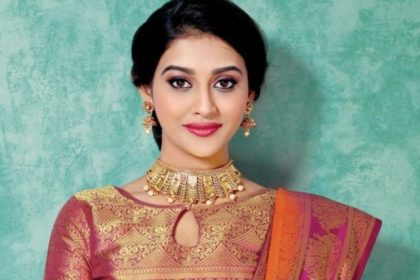 banarasi saree blouse designs for silk sarees that are unique