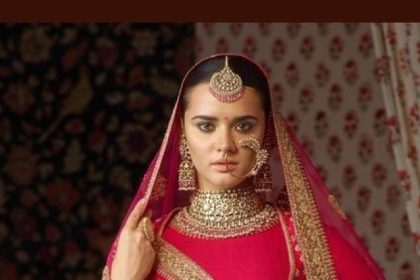 Bridal Blouse Design