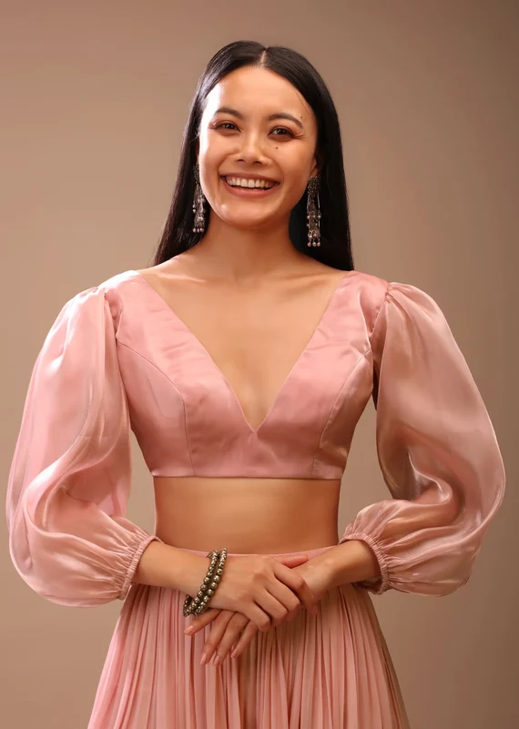 Blouse Design for Peach Color Blouse