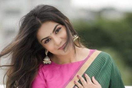 Boat Neck Blouse Designs