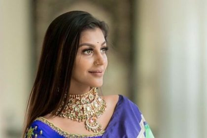 embroidery-blouse-design-ideas-for-sarees