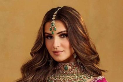 Rich Look Blouse Designs