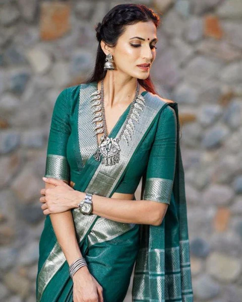 V Neck Blouse Designs for Silk Sarees