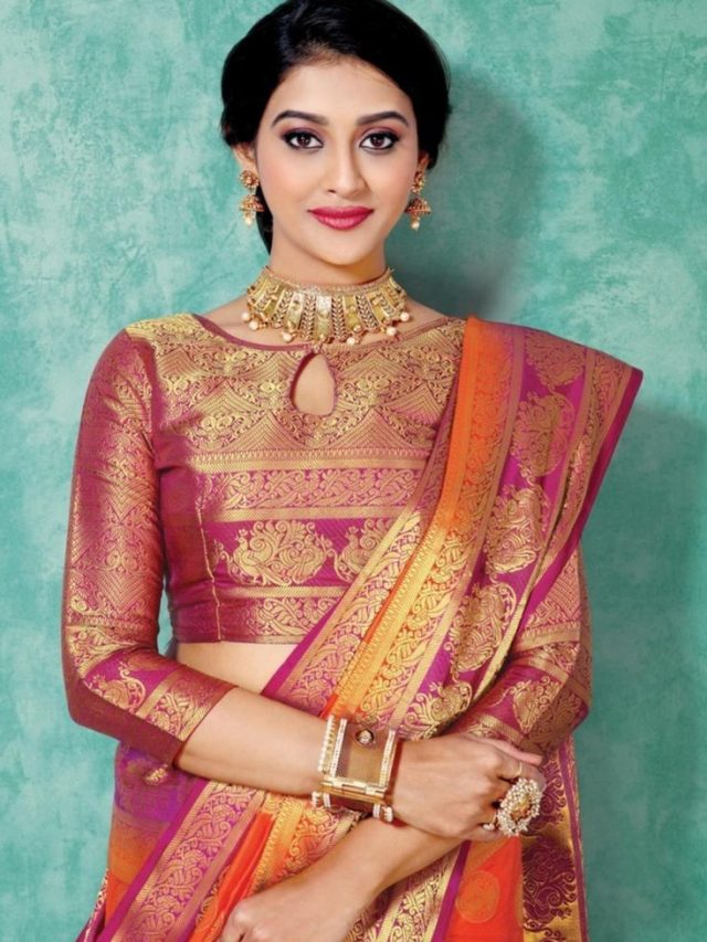 Simple Blouse Designs