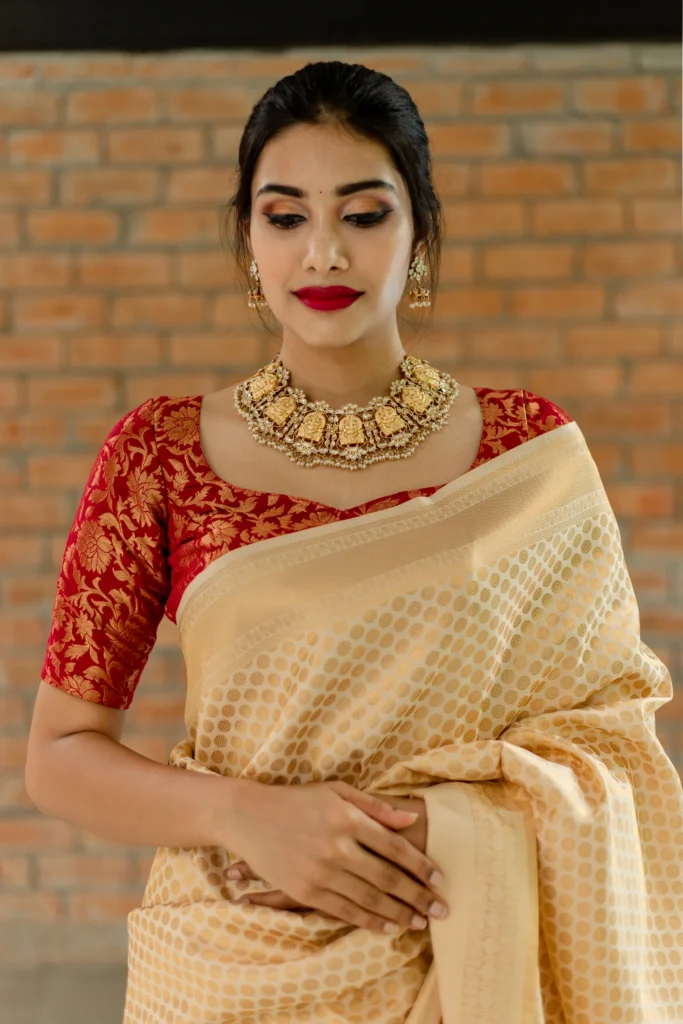 Maroon Color Blouse Design
