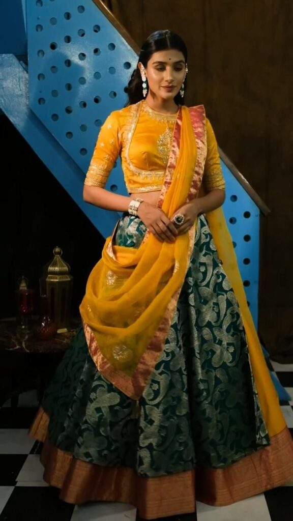 Rajasthani Choli's Latest Blouse Design