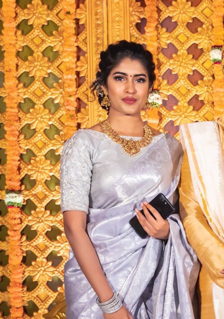 Silver Saree Blouse Designs