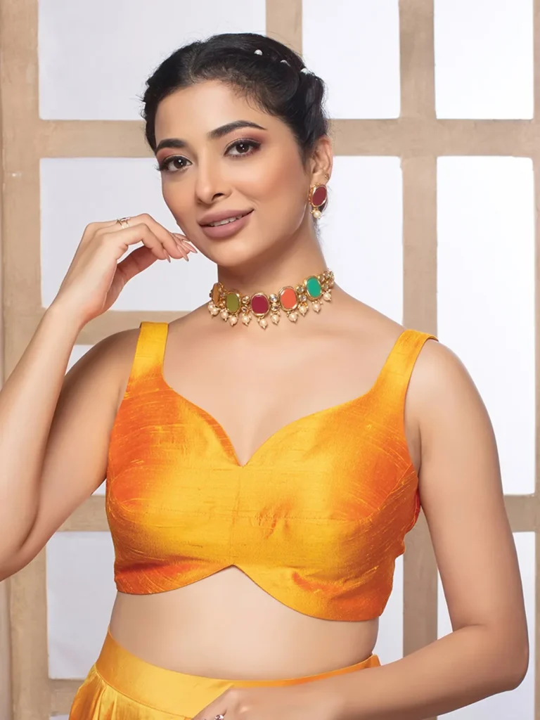 Padded Katori Blouse Designs