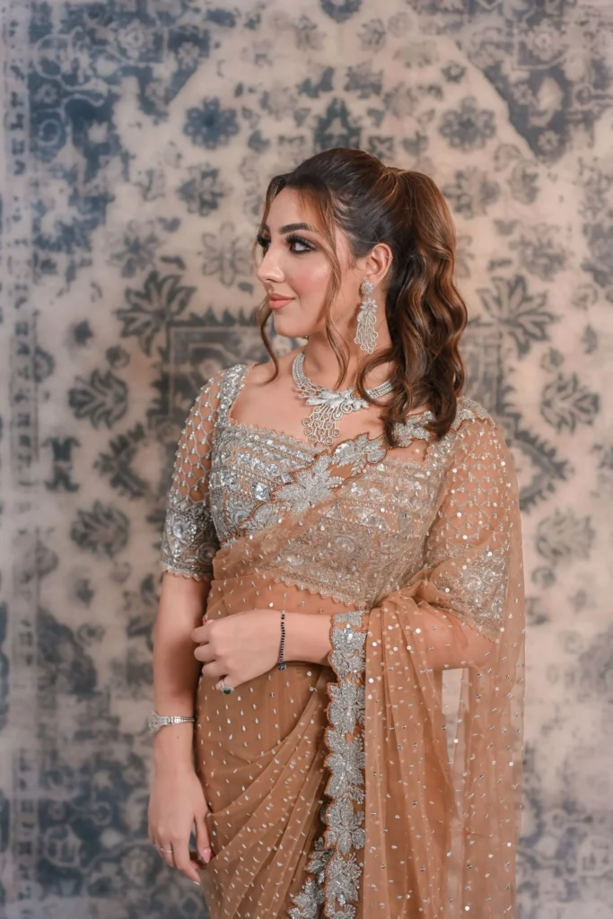 Sheer Shirt Collar Blouse
