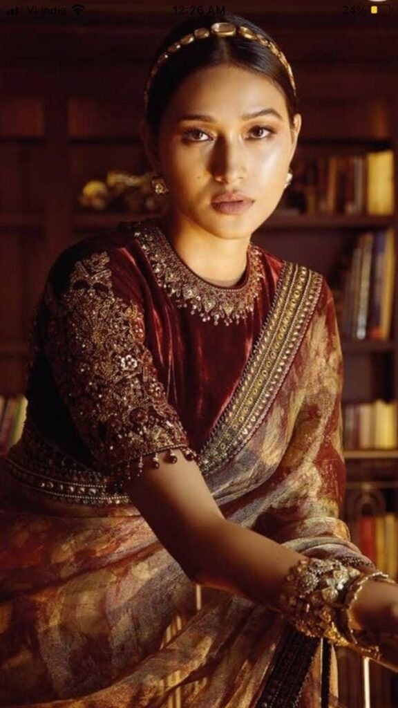 Coffee Colour Velvet Blouse Design