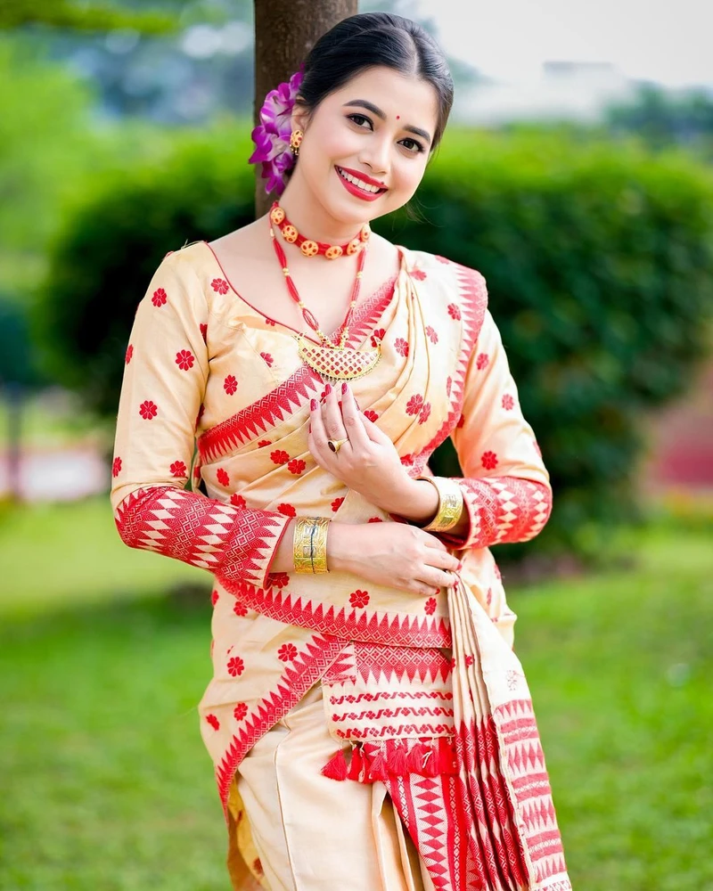 Mekhla Saree Blouse Design