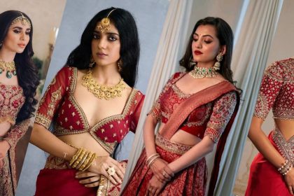 Blouse Designs for Karwa Chauth